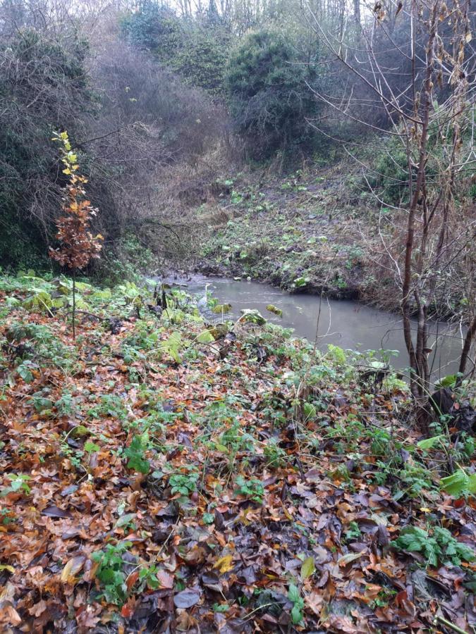 Daiches Braes Brunstane Portobello EDI Buitenkant foto